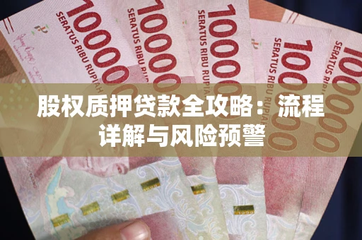 武汉股权质押贷款全攻略：流程详解与风险预警