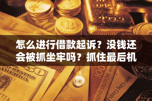 武汉怎么进行借款起诉？没钱还会被抓坐牢吗？抓住最后机会！