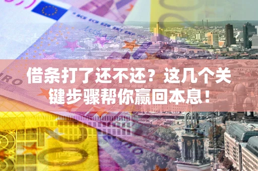 武汉借条打了还不还？这几个关键步骤帮你赢回本息！