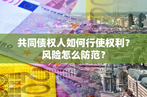 武汉共同债权人如何行使权利？风险怎么防范？