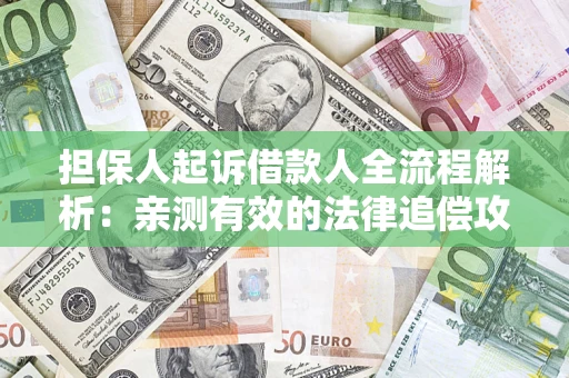 武汉担保人起诉借款人全流程解析：亲测有效的法律追偿攻略
