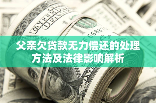 武汉父亲欠贷款无力偿还的处理方法及法律影响解析