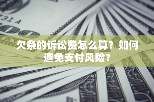 武汉欠条的诉讼费怎么算？如何避免支付风险？